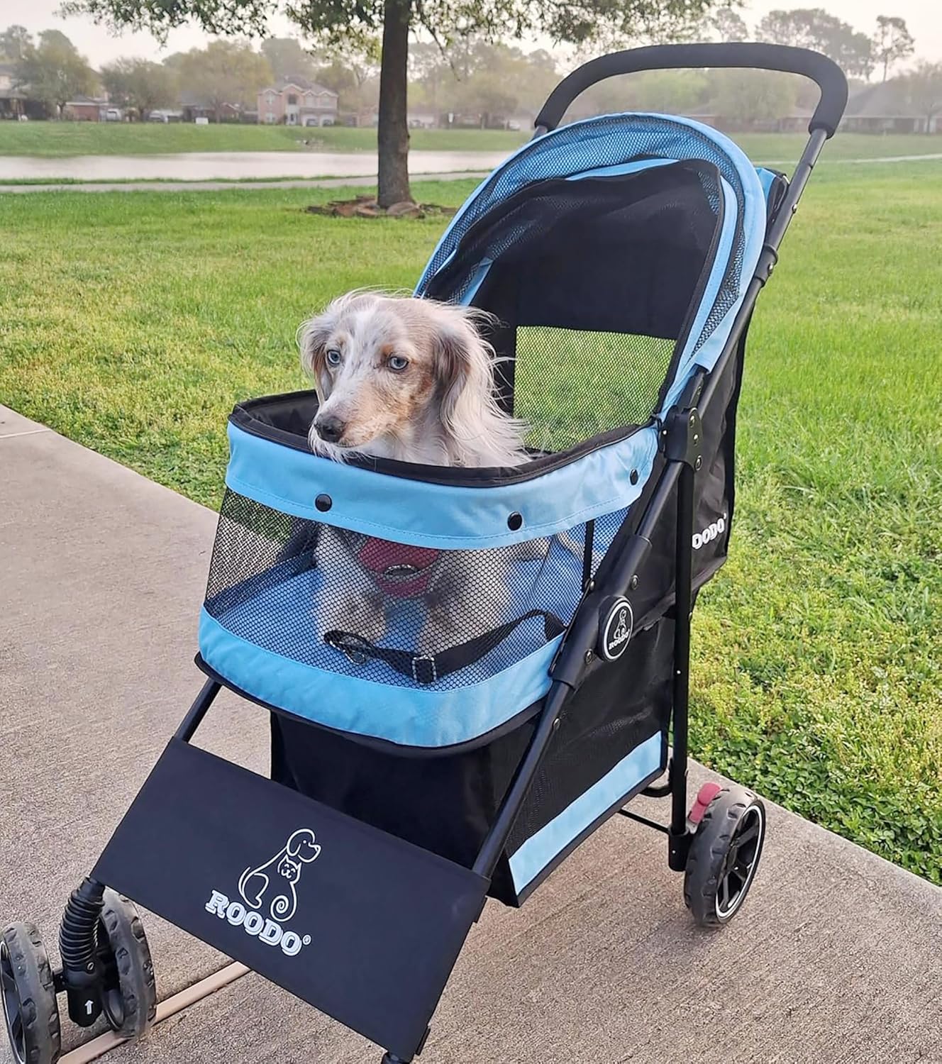 ROODO 4 Wheel Dog Cat Pet Stroller Best Lightweight Foldable Compact Portable Jogger All Terrain Travel Pet Gear Puppy Doggie Bunny Kitty Stroller for up to 30lbs Medium Small Dogs Cats(Sky Blue)