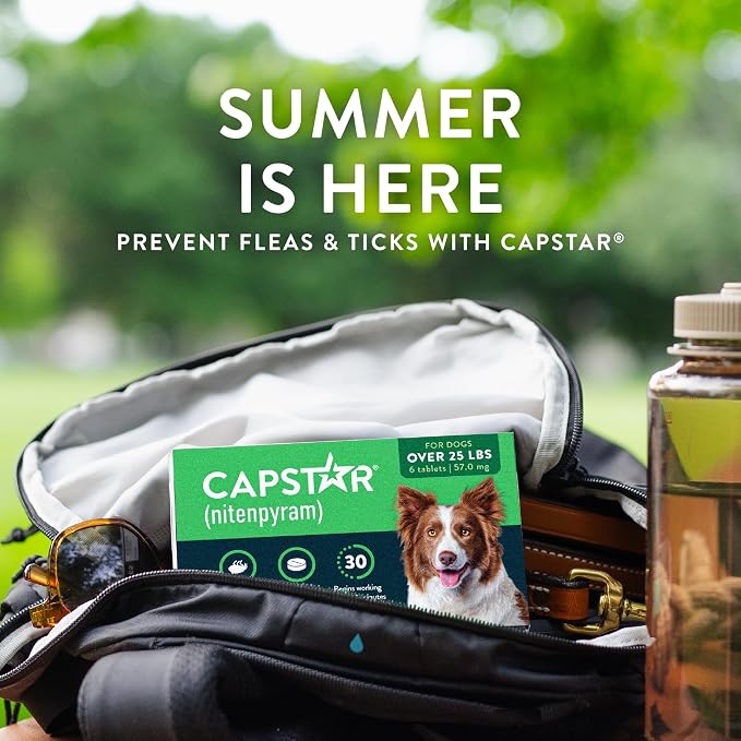 Capstar for Dogs (nitenpyram), Fast-Acting Oral Flea Treatment for Dogs Over 25+ lbs, Vet-Recommended Flea Medication Tablets Start Killing in 30 Minutes, 6 Doses