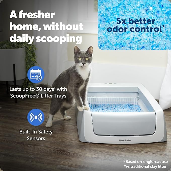 PetSafe ScoopFree Self-Cleaning Cat Litterbox - Never Scoop Litter Again - Hands-Free Cleanup with Disposable Crystal Tray - Less Tracking, Better Odor Control - Includes Disposable Tray
