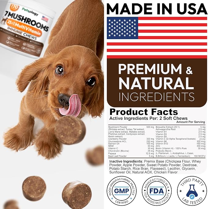 (2 Pack) Turkey Tail Mushroom for Dogs - 340 Chews - Lion’s Mane - Shiitake - Reishi - Buddy Immune Support Guard - Mushroom Supplement for Dogs with Glucosamine, Health Vitamins Multivitamin