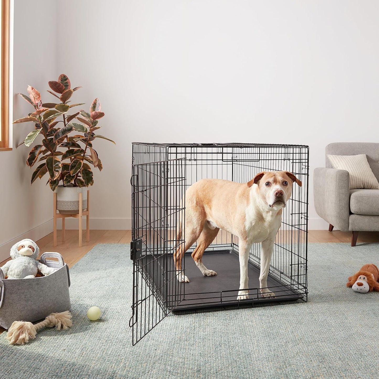Amazon Basics Durable, Foldable Metal Wire Dog Crate with Tray, Single Door, 48 x 30 x 32.5 in, Black