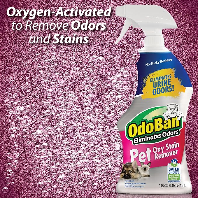 OdoBan Pet Solutions Oxy Stain Remover, Pet Stain Eliminator, Made in the USA, 4-Pack, 32 Ounce Spray Each