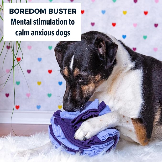Puppington Pupper Snuffle Ball for Dogs - Snuffle Mat for Dogs Large Breed & Small - Interactive Slow Feeder Dog Bowls - Dog Enrichment Toy (Large, Purple)