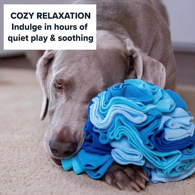 Puppington Pupper Snuffle Ball - Snuffle Mat for Large & Small Dogs - Interactive Slow Feeder Dog Bowls - Dog Enrichment Toy (Large, Blue)
