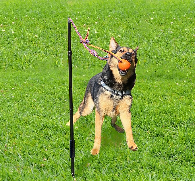 Dog Retractable Interactive Training Tug Toy - Pet Obedience Training Tug - Stable Exercise Metal Pole & Spring Rod with Replaceable Chew Rope for Small/Medium Dogs