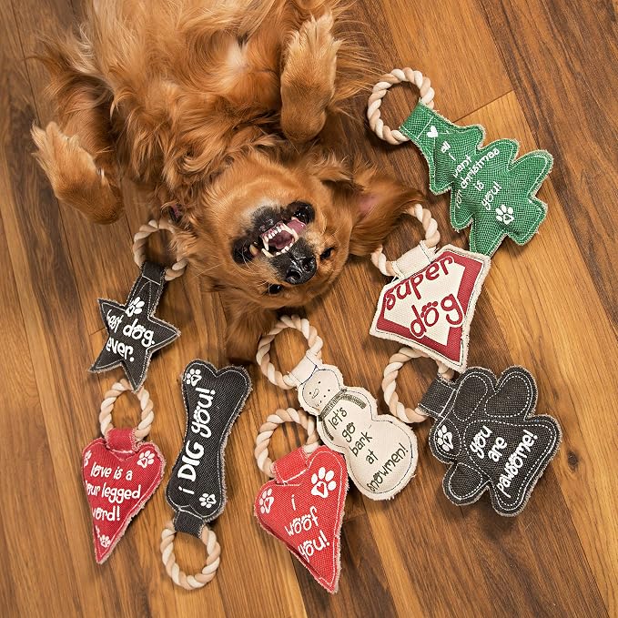 Pavilion Gift Company 45610 Pavilion's Pets-Red Heart Shaped Canvas and Rope Dog Squeaky Toy-I Woof You, Dogs, Medium- Large Breeds