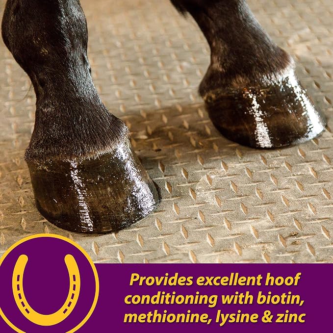 Horse Health Joint Combo Hoof & Coat, Glucosamin, Chrondroitin, Vitamin C, MSM, Biotin, Lysine, ZInc, Omega 3 and 6 Fatty Acids, 64 day supply