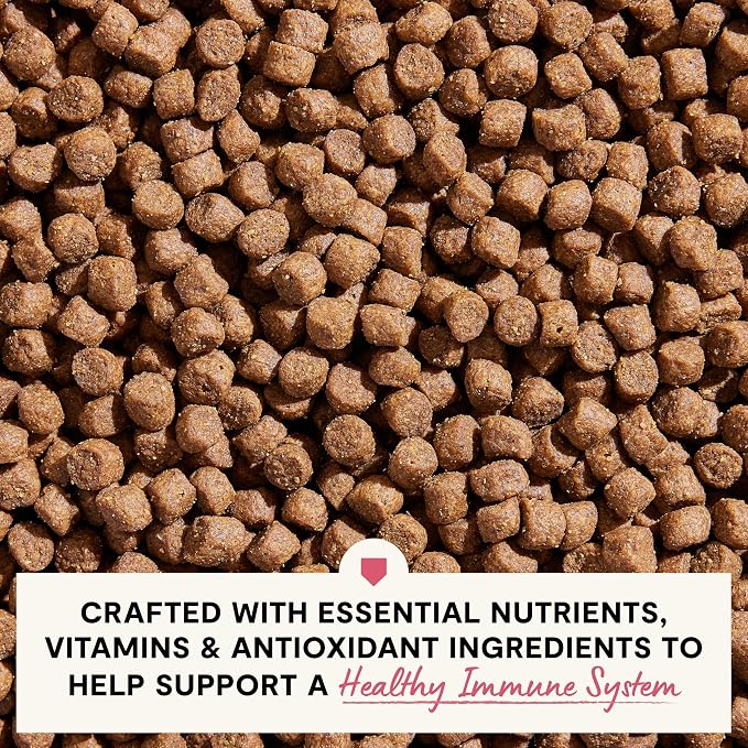 Open Farm, Skin & Coat Health Dog Food, Veterinarian Formulated Kibble with Salmon Oil and Vitamin E to Support Healthy Skin & A Shiny Coat, Wild-Caught Salmon & Oatmeal Recipe, 22lb Bag