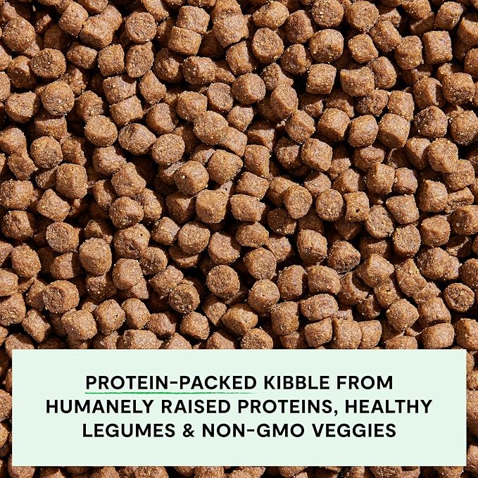 Open Farm, Grain-Free Dry Dog Food for Senior Dogs, Complete & Balanced Kibble to Support Joints & Mobility, Sustainably & Ethically Sourced Ingredients, Chicken & Turkey Recipe for Seniors, 4lb Bag