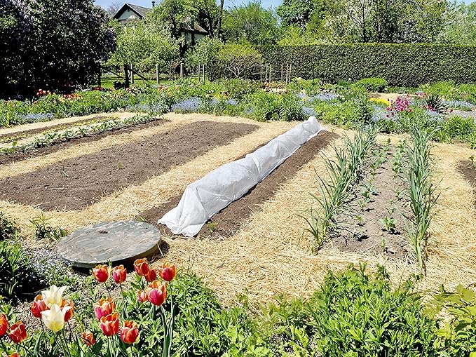 Blue Mountain Hay Organic Garden Straw (5 lb) - Natural Mulch for Gardening, Flower Beds & Landscaping, New Lawn Grass Seeding, Compost, Raised Garden Bed, Cat Grass & Grass Seed