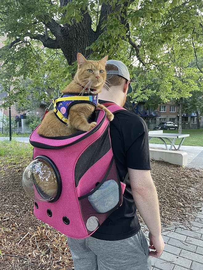 Fat Cat Backpack Carrier in Deep Rose Pink & Grey Donut Cat Tunnel Bed – Airline Approved Pet Carrier with Bubble Window & Cozy Cat Cave for Travel, Play, and Rest