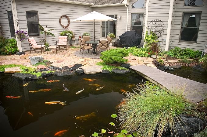 Aquascape Cold Water Beneficial Bacteria for Pond and Water Features 32 oz. / 946ml, 98894