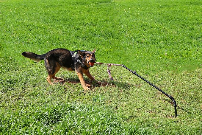 Dog Retractable Interactive Training Tug Toy - Pet Obedience Training Tug - Stable Exercise Metal Pole & Spring Rod with Replaceable Chew Rope for Small/Medium Dogs
