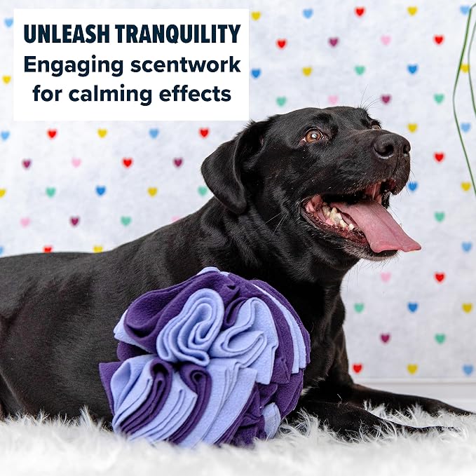 Puppington Pupper Snuffle Ball for Dogs - Snuffle Mat for Dogs Large Breed & Small - Interactive Slow Feeder Dog Bowls - Dog Enrichment Toy (Large, Purple)