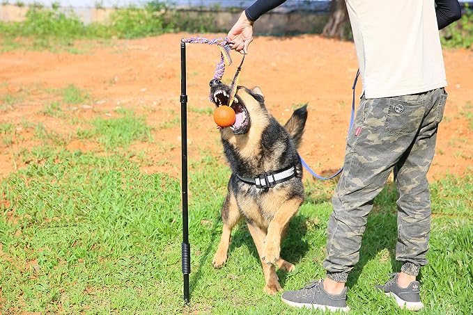 Dog Retractable Interactive Training Tug Toy - Pet Obedience Training Tug - Stable Exercise Metal Pole & Spring Rod with Replaceable Chew Rope for Small/Medium Dogs