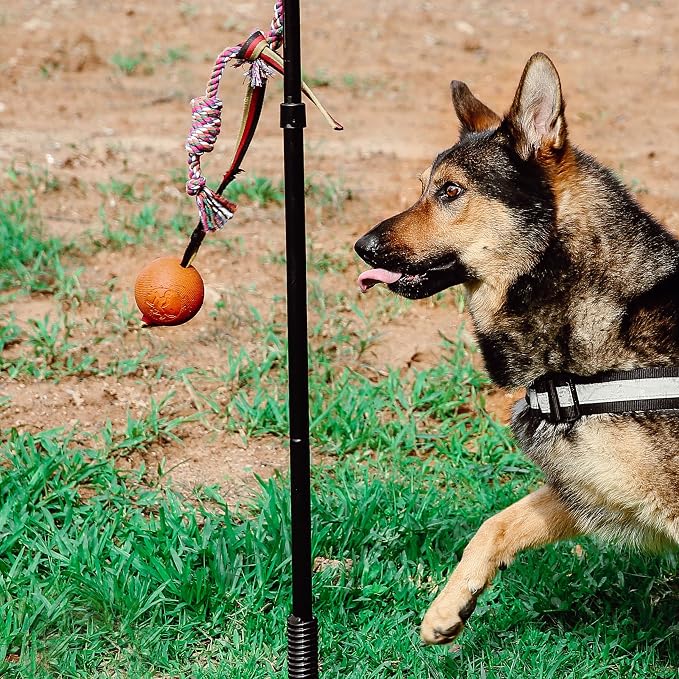 Dog Retractable Interactive Training Tug Toy - Pet Obedience Training Tug - Stable Exercise Metal Pole & Spring Rod with Replaceable Chew Rope for Small/Medium Dogs